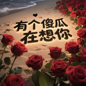傻瓜