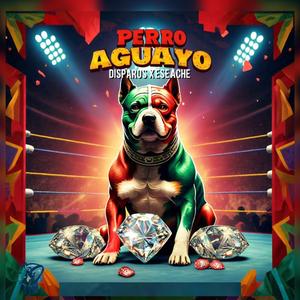 Perro Aguayo