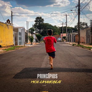Princípios