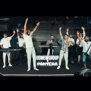 Черната пантера