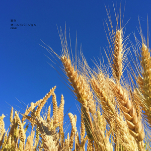 実り (old version)