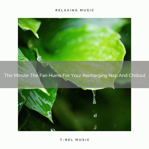 The Minute The Fan Sings Dedicated To Your Nap And Relax