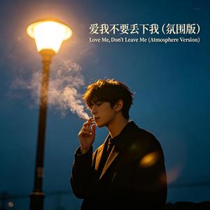 爱我不要丢下我 (R&B氛围男版)