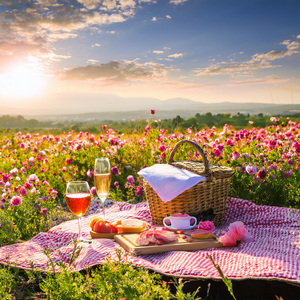 Cadencia Hermosa De La Vida