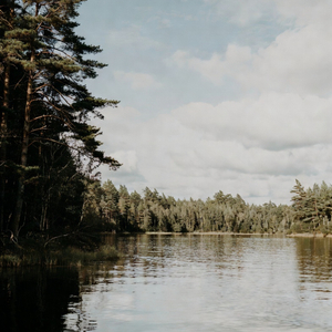 Where the World Gets Quiet