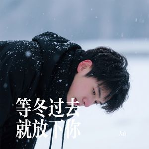 等冬过去 就放下你