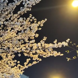 方便面demo(1)