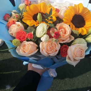 第57次取消发送（光遇版）