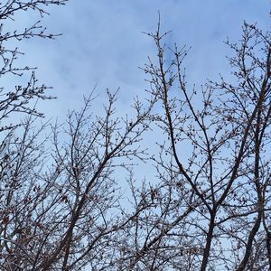 玉树临风-整曲 伴奏