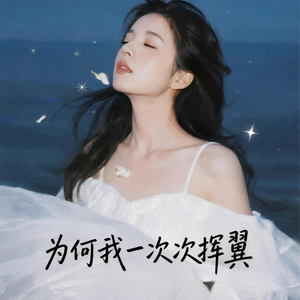 为何我一次次挥翼