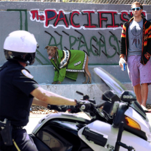 Miss Piggy (Bank) [feat. V.K.B-Audacious]