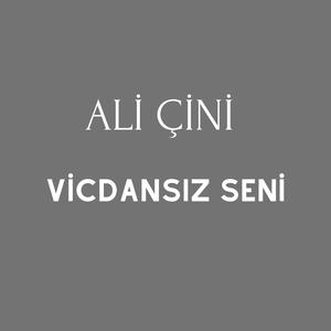 Vicdansız Seni