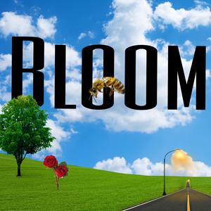 Bloom