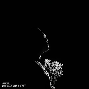 ROOTS (feat. David Binney, Luca Mendoza & Orquesta La Kshamba)