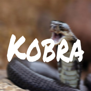 Kobra
