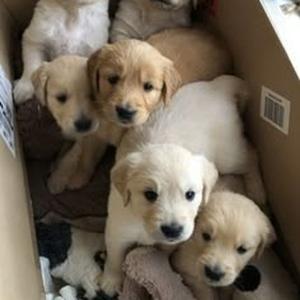 All My Life (slowed)