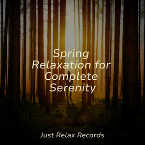 Echoes of Harmony's Repetition