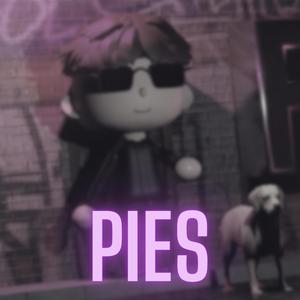 PIES