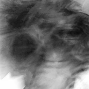 crashout (feat. Gear the rover)