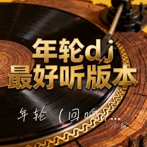 年轮（回响版dj）
