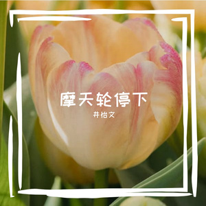 摩天轮停下
