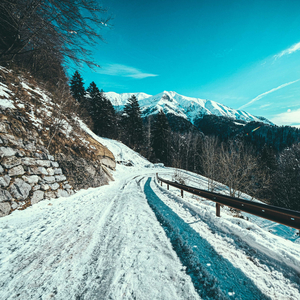 Walking the Quiet Path