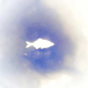 我知道你（氛围版）