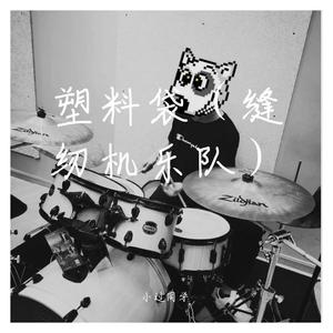 塑料袋（缝纫机乐队）