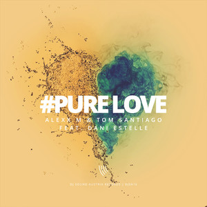 Pure Love (Extended Mix)