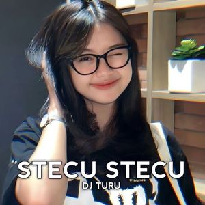 Stecu Stecu