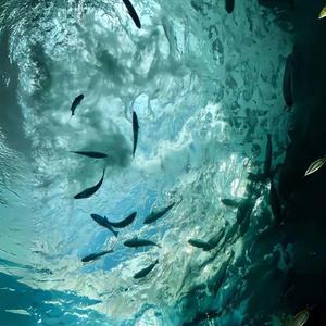 AUDIO_音频格式转换20260226232832.wav