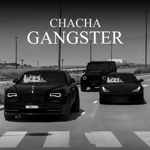 CHACHA GANGSTER（VDD7X remix）