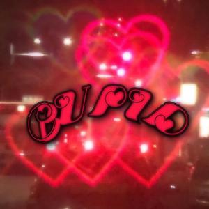 NOT PERFECT (feat. IMLONELYASTA, ILYBROLLY, ilyrose & Exitus999)