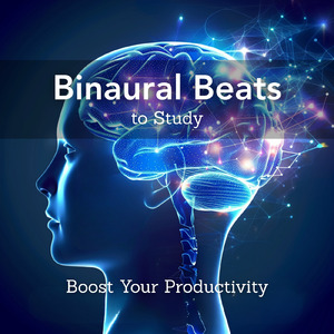 睡眠の質向上 - α波→θ波→δ波 - (バイノーラル)