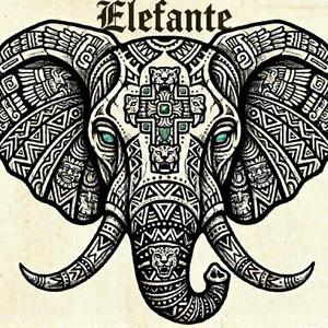 Elefante