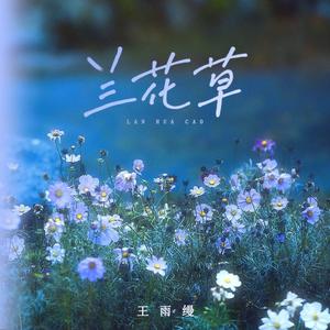 兰花草 (DJ小蒋版)