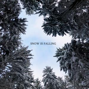 Snow is falling