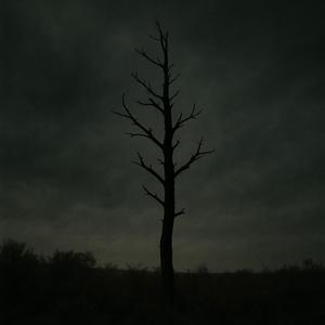 dont ask me if im okay