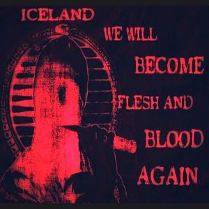 In the Shadow of Leaves