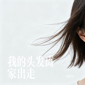 我的头发离家出走