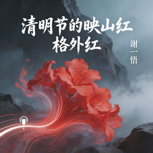 清明节的映山红格外红