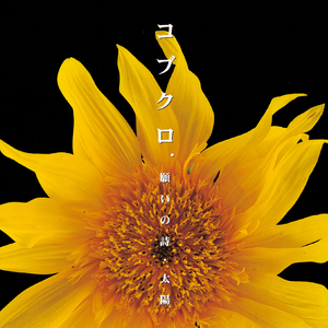 願いの詩 (インストゥルメンタル)