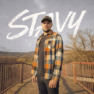 Stavy