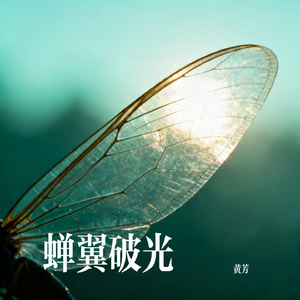 蝉翼破光
