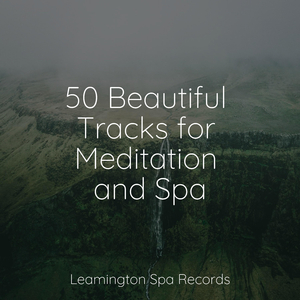 Remembering Serenity