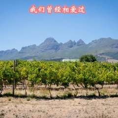 我警告你啊 以后好好的给我重新做人 (DJ版)