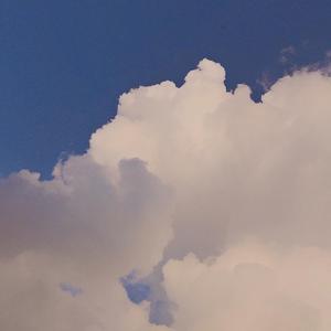 日本の九月の気層です（Cover 笹川真生)