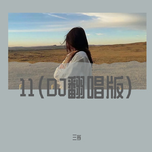 11(DJ升级版）