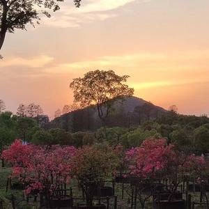 爱在黎明破晓时