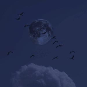 打鬼（翻自 Bo Peep）